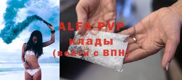 соль ск Новодвинск