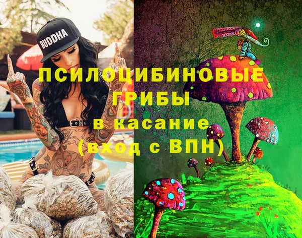 бутират Новозыбков