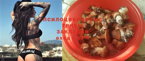 соль ск Новодвинск