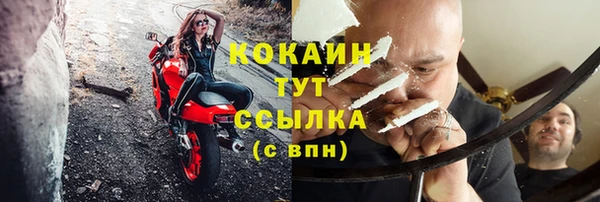 соль ск Новодвинск