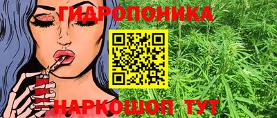 стаф Заволжье