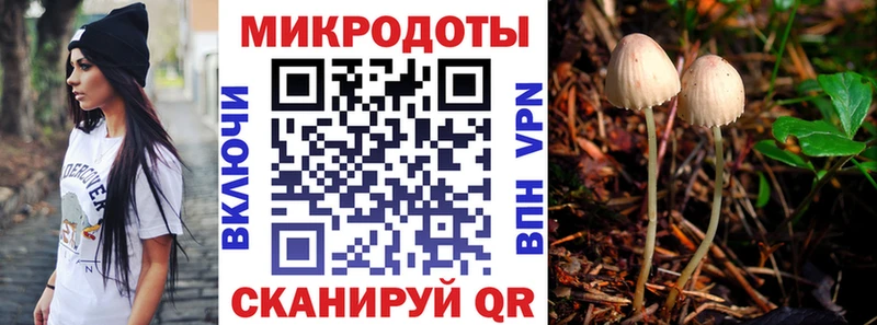 Галлюциногенные грибы MAGIC MUSHROOMS  Красноперекопск 